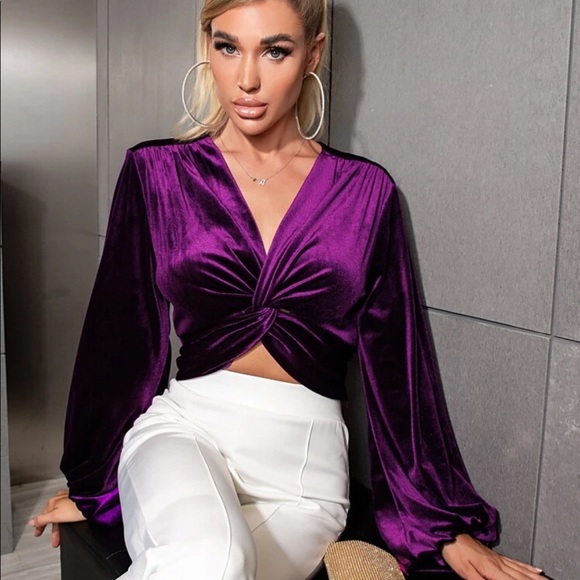 Tops - Gorgeous Rich Purple Long Sleeve Velvet Crop Top